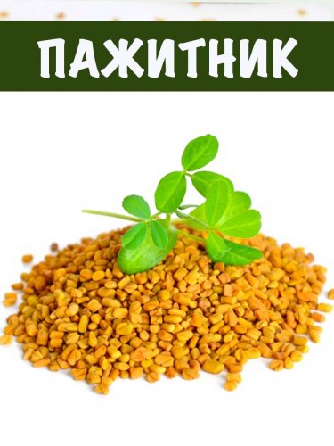 ПАЖИТНИК СЕМЕНА, 500 г